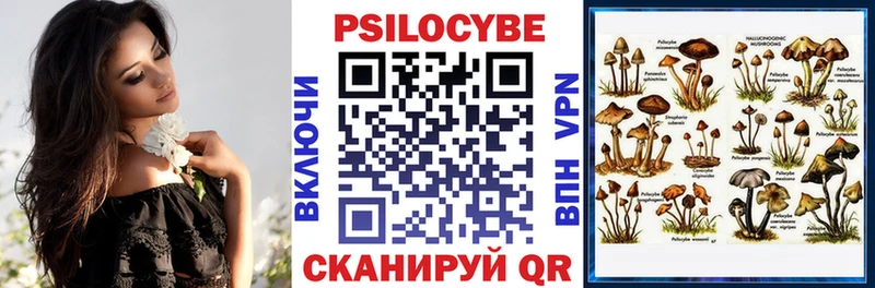 Псилоцибиновые грибы мицелий  Александров 